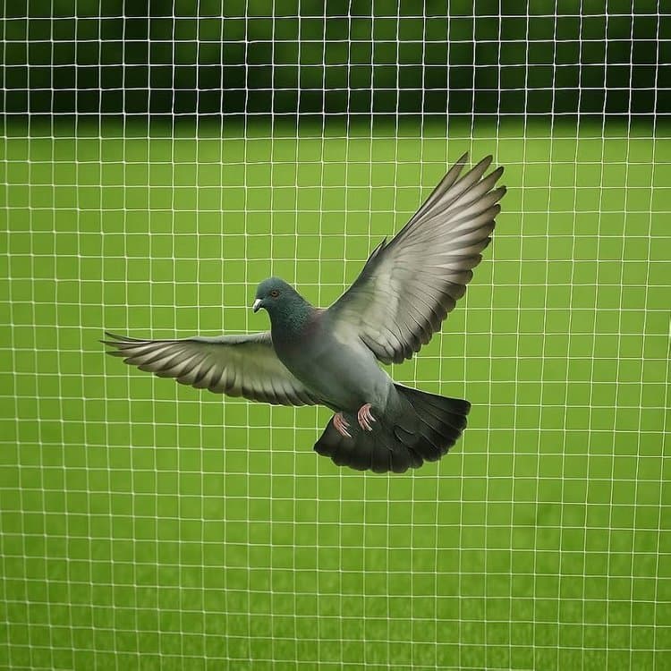 Anti Bird Pigeon Protection Net view 1 Karachi