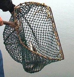 Marine Commercial Fishing Net view 1 Karachi